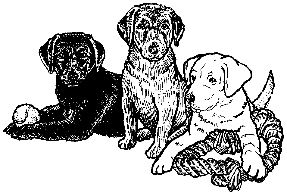 This image copyright Terry Albert, and is not to be copied or otherwise used without express written permission - thank you.