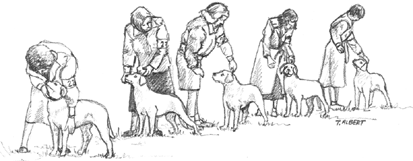 This image copyright Terry Albert, and is not to be copied or otherwise used without express written permission - thank you.